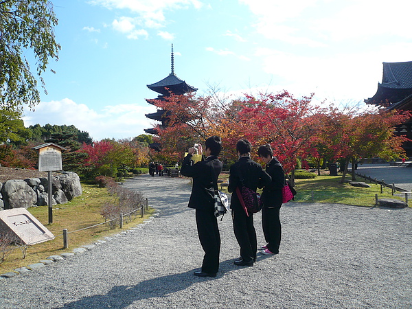 P1140580.JPG