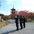P1140580.JPG