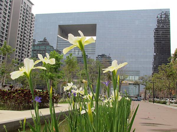 花20140401-2954.JPG