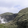 陽明山-油坑芒草.JPG