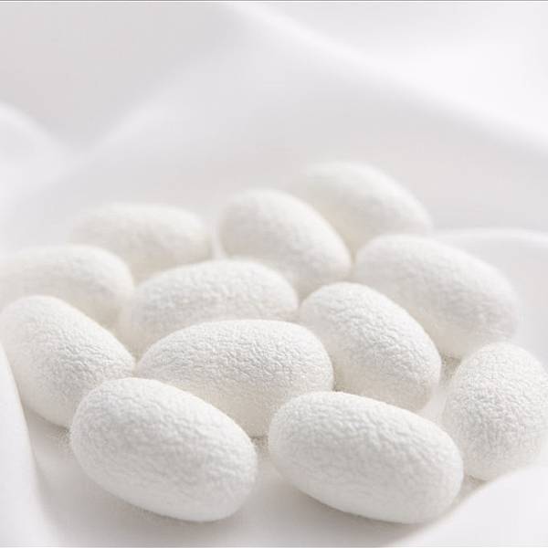 【保养】保养圣品-水解蚕丝蛋白