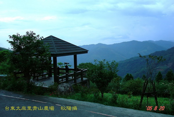 台東太麻里金針山青山農場涼亭