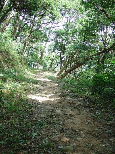 沿路路況5