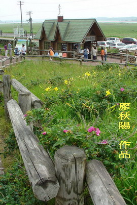 原生花園車站之原生種花.jpg