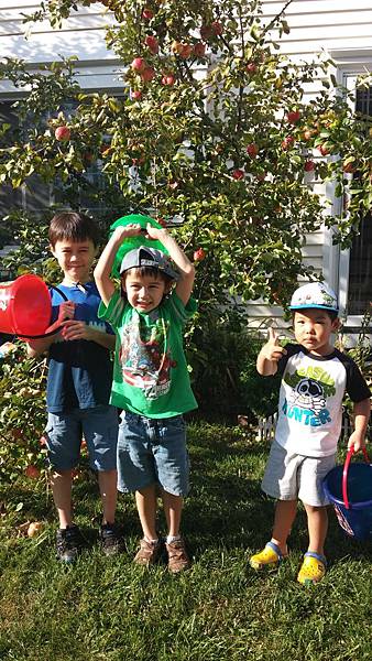 20150911_164707 20150911_164707