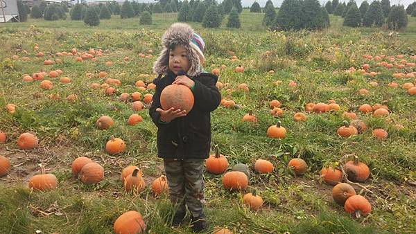 20151009_165239 20151009_165239