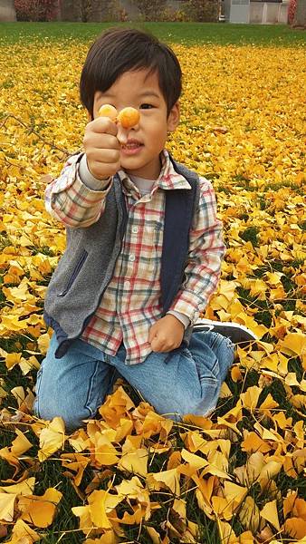 20151107_113217 20151107_113217