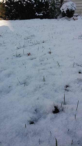 20151123_081557 20151123_081557