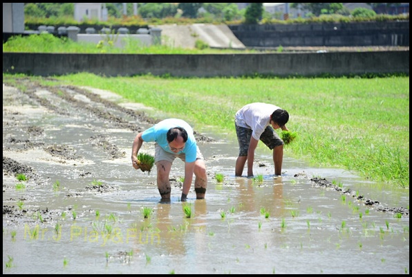 IMG_1970.JPG IMG_1970.JPG