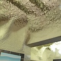 IMG_5570.jpg