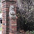 IMG_5503.jpg