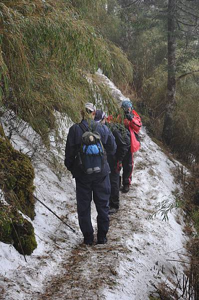 風寒徹骨行處雪