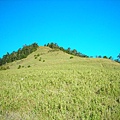 青山歸遠邊草綠