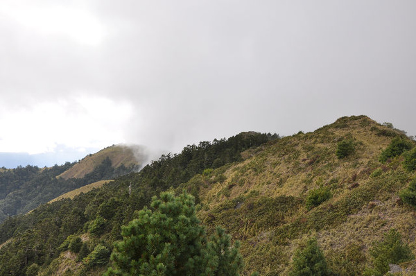 緩坡草原加利山