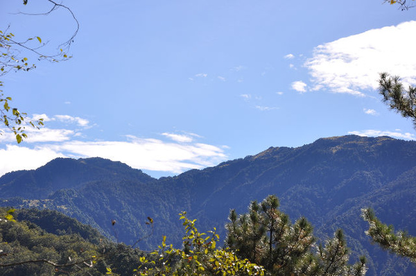 回望伊澤加利山