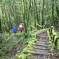 露濕苔痕萬榮道