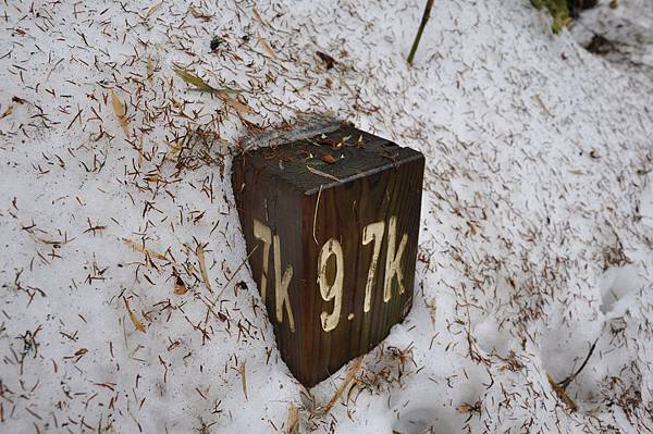 雪擁藍關馬不前