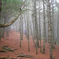 雲霧輕鎖松風嶺