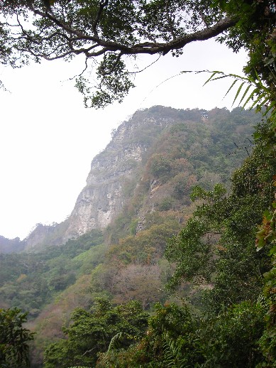 寥落寒山添翠潤