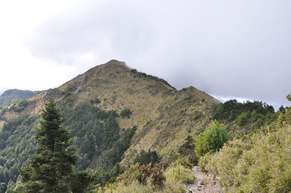 耶巴奧山秋草色