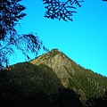 杳杳山道眺頭鷹