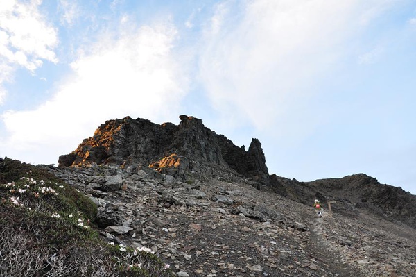 峰頭杈椏角崢嶸