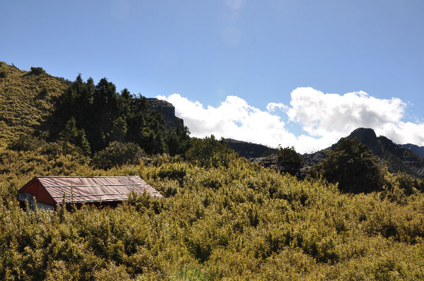 中霸山屋密竹裡