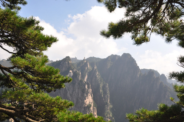 萬松雲踏碧山青