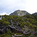 雪北長嘯高山頭