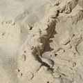 沙子很細