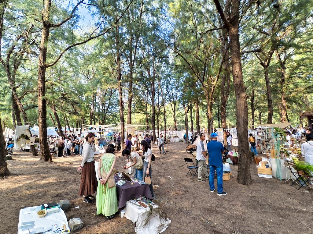 20251108_117.jpg 20251108_117.jpg