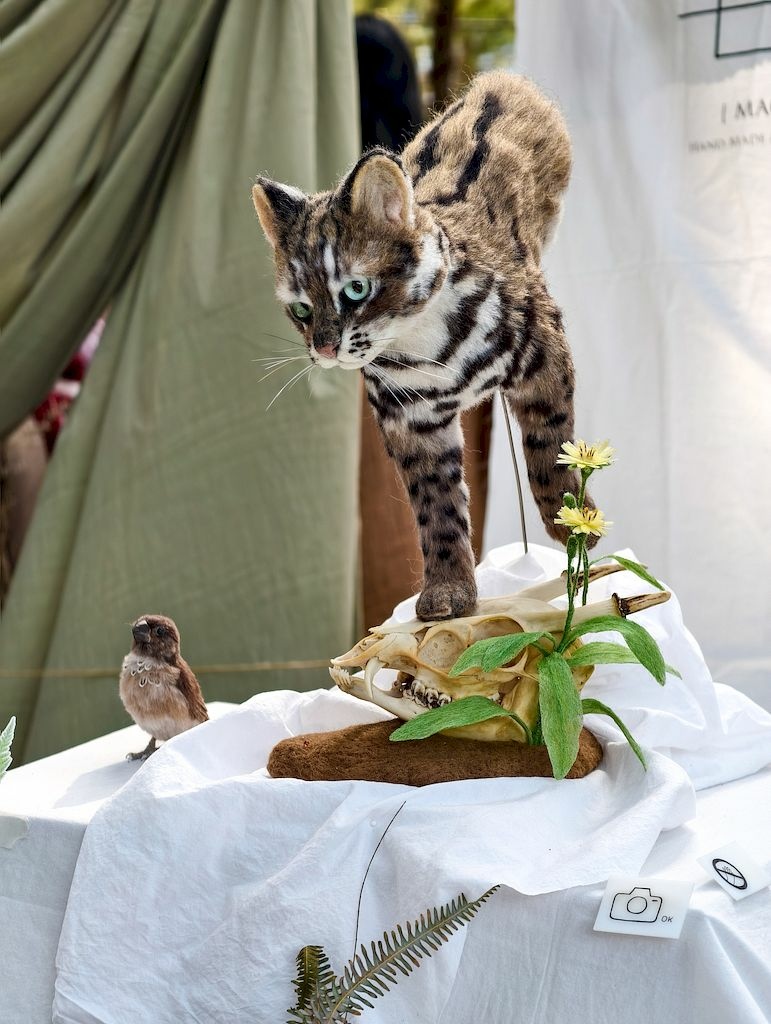 20251108_125.jpg 20251108_125.jpg