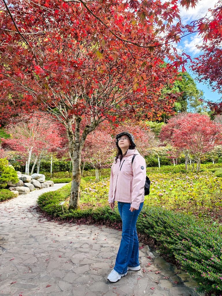 20251123_08.jpg 20251123_08.jpg