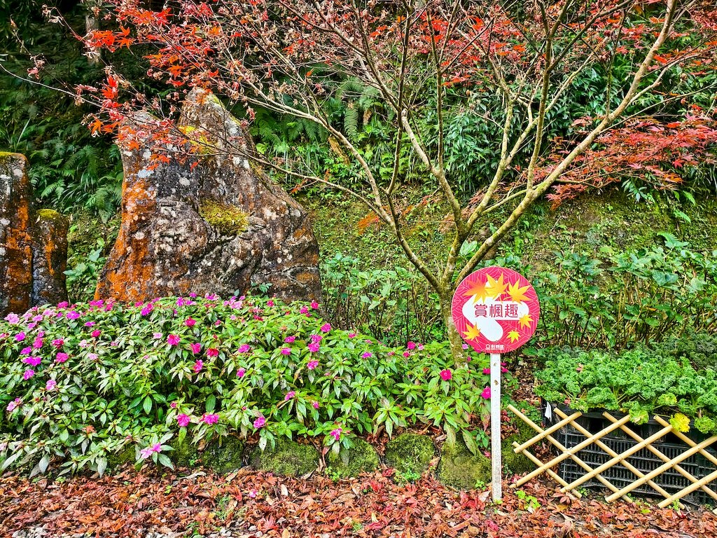 20251123_11.jpg 20251123_11.jpg