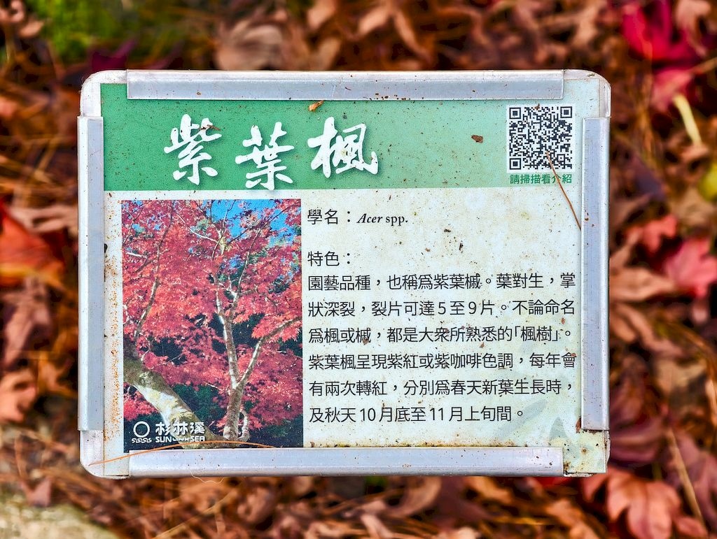 20251123_12.jpg 20251123_12.jpg