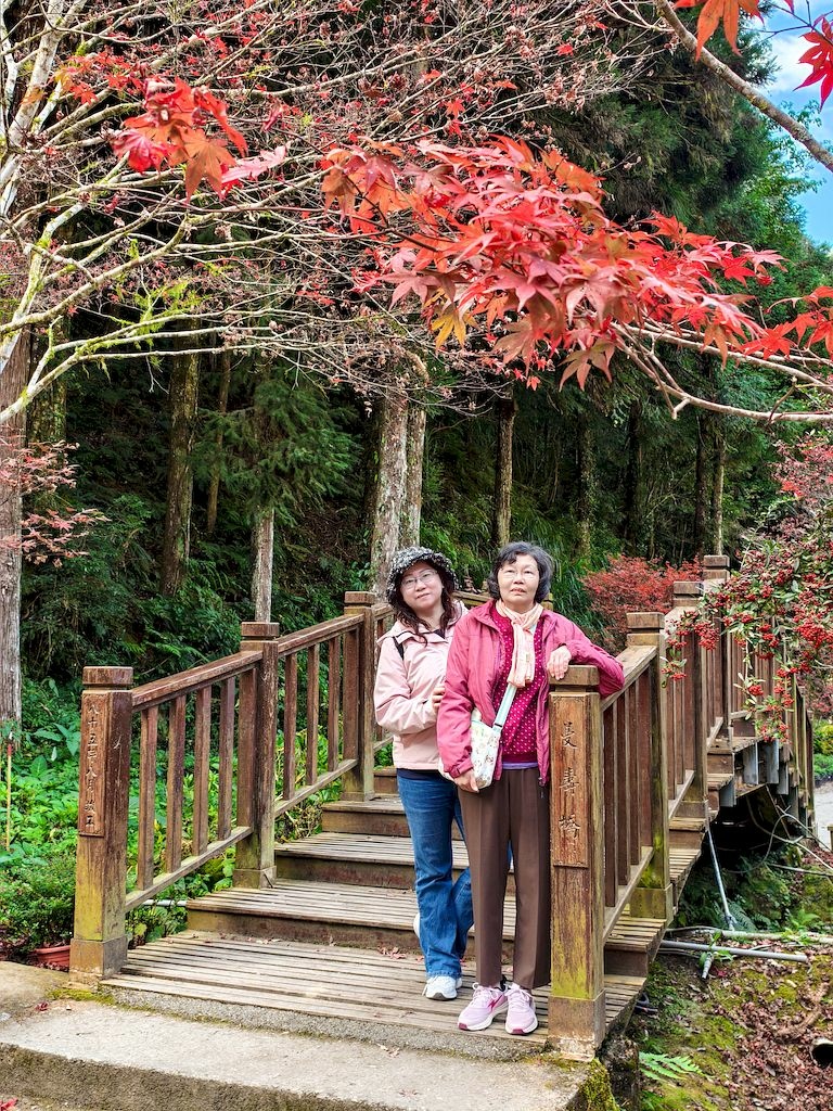 20251123_16.jpg 20251123_16.jpg