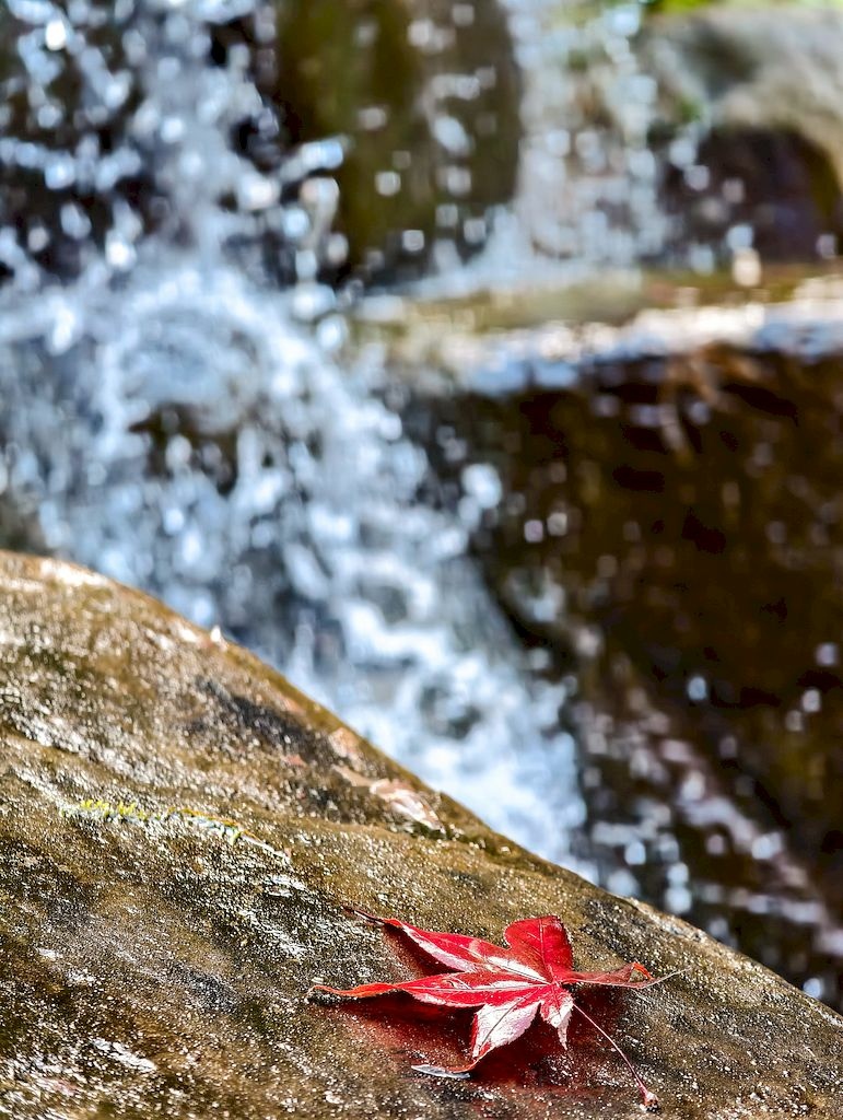 20251123_22.jpg 20251123_22.jpg