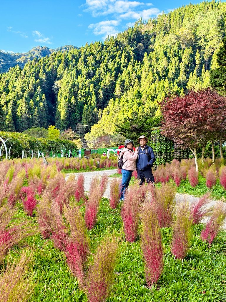 20251123_27.jpg 20251123_27.jpg