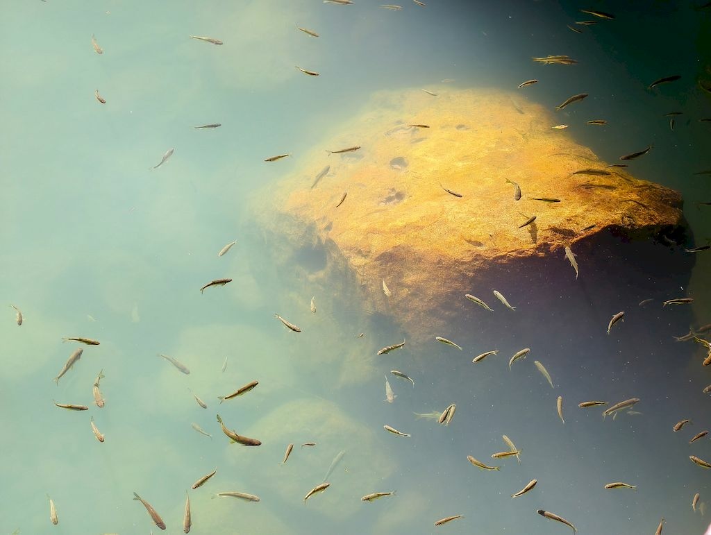 20251123_39.jpg 20251123_39.jpg