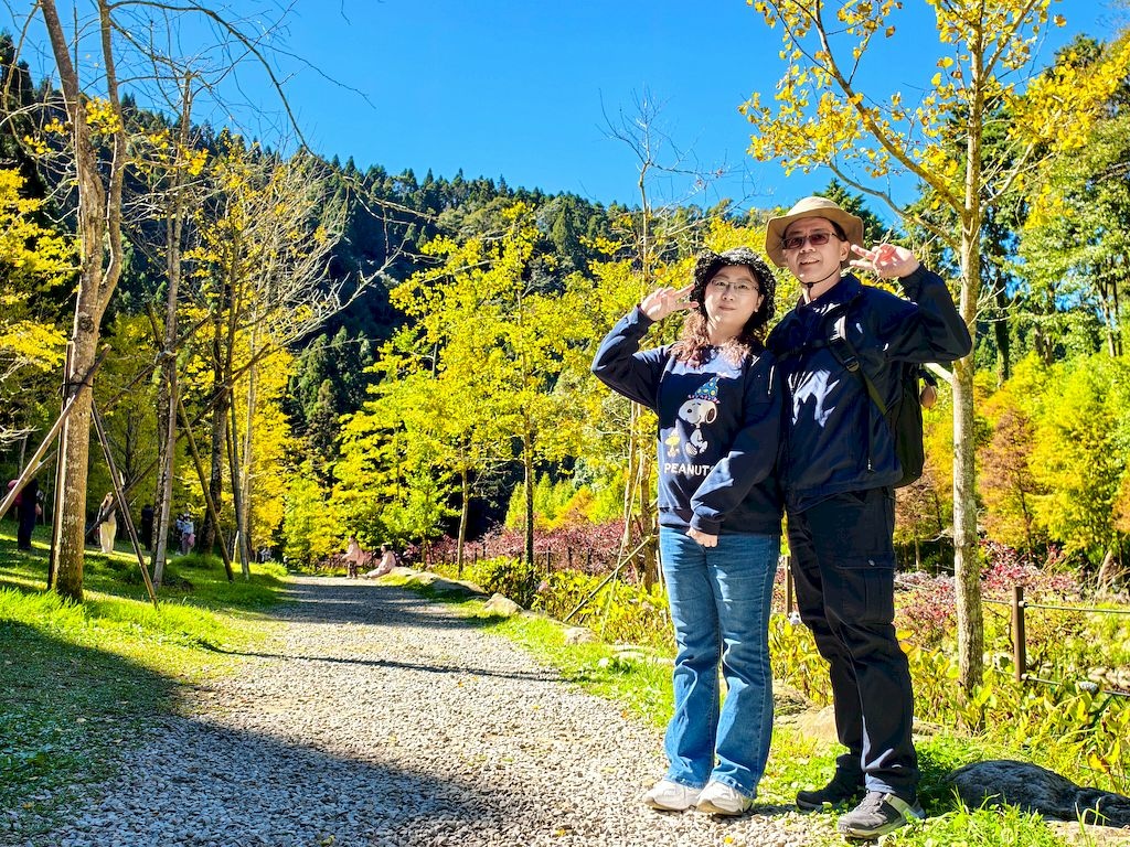 20251123_49.jpg 20251123_49.jpg