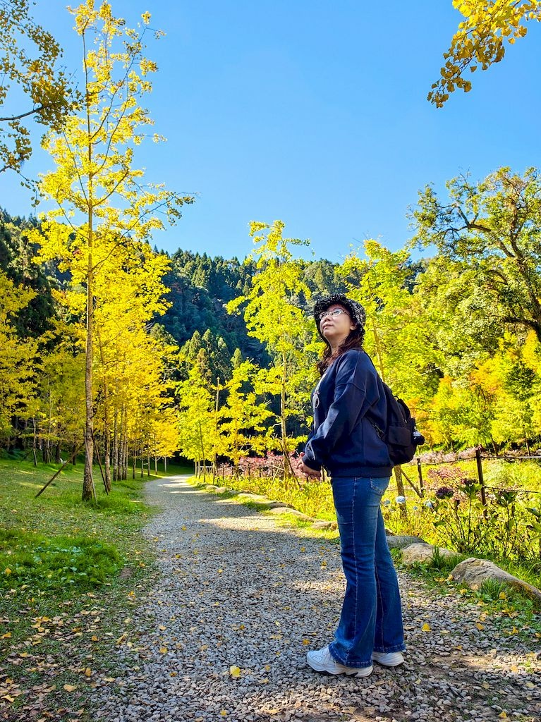 20251123_50.jpg 20251123_50.jpg