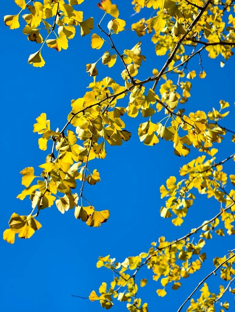 20251123_51.jpg 20251123_51.jpg