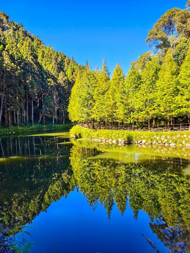 20251123_60.jpg 20251123_60.jpg