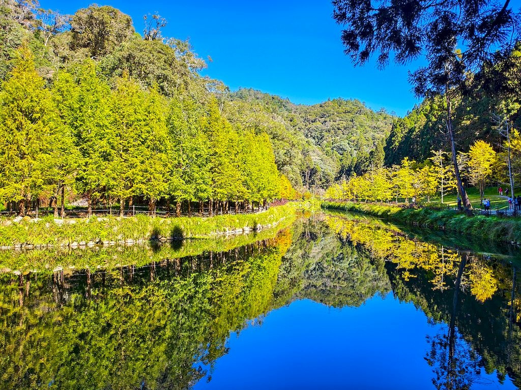 20251123_62.jpg 20251123_62.jpg