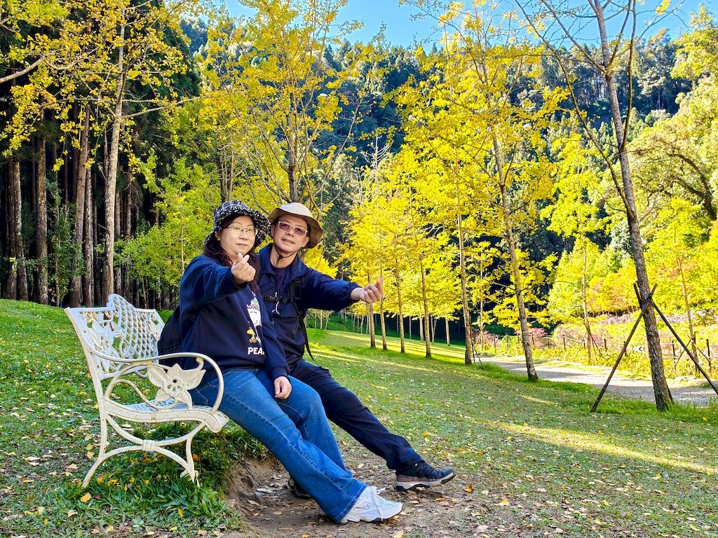 20251123_56.jpg 20251123_56.jpg