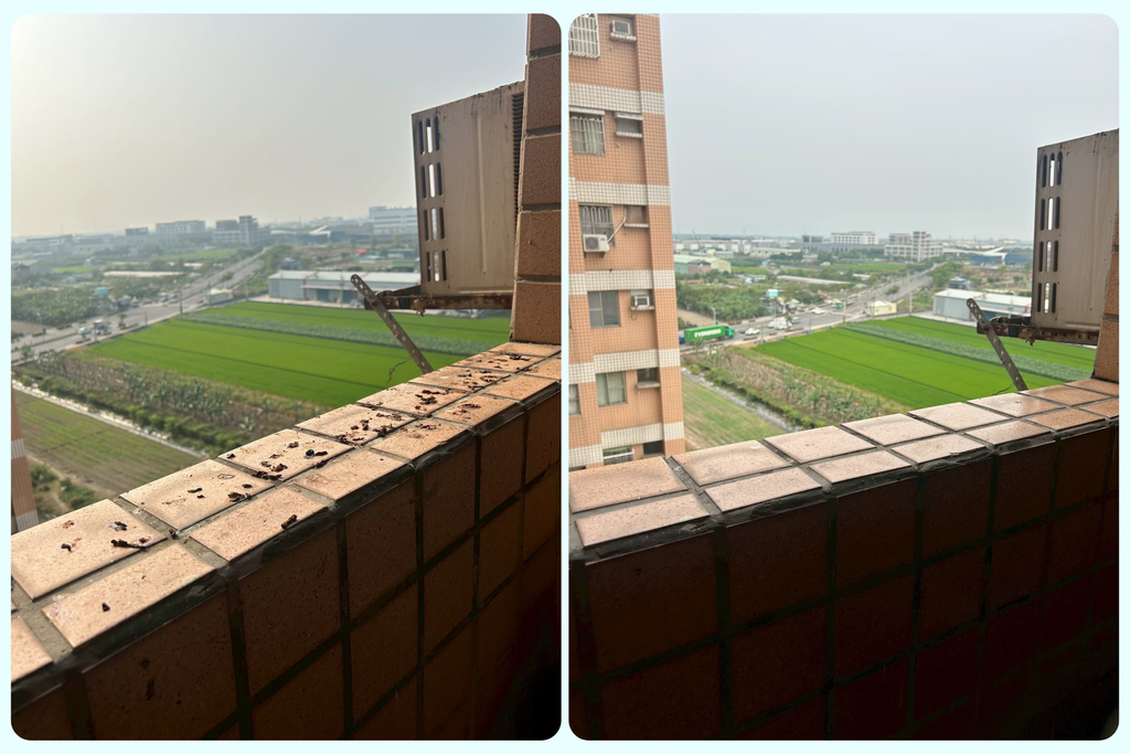 【高雄居家清潔推薦】三峰居家清潔一起搞定,回不去自己打掃的日 【高雄居家清潔推薦】三峰居家清潔一起搞定,回不去自己打掃的日