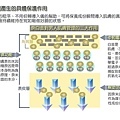 Q&A3-1 拷貝.jpg