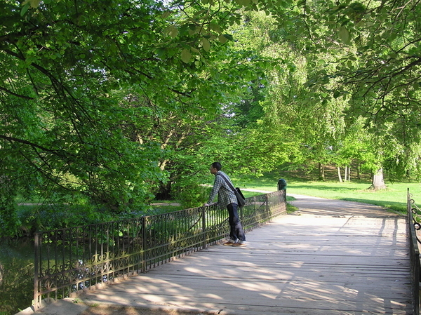 木橋