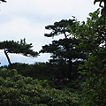 2014-08-23金山八煙美食賞景