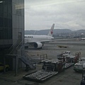 IMG_20111112_145653